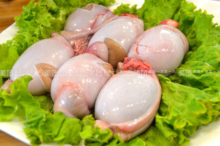 羊胆中医学与中药学