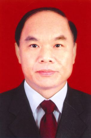 陈芝岳(政治人物)