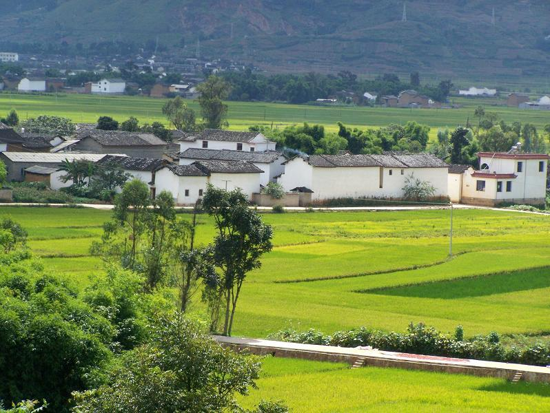 宁远县仁和镇 (地点|行政区划)