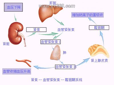 开启非凡征程