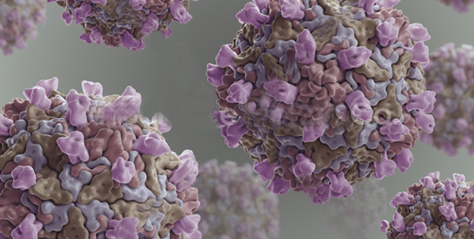 柯萨奇病毒a16型(病毒)