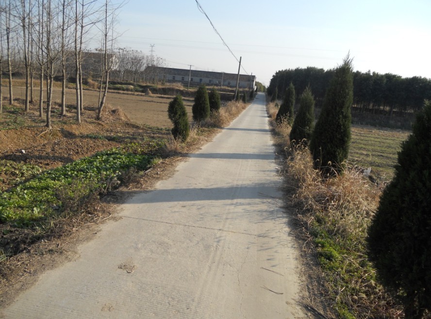 东湾村(行政区划)