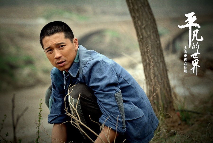 平凡的世界[2015年毛卫宁执导电视剧]