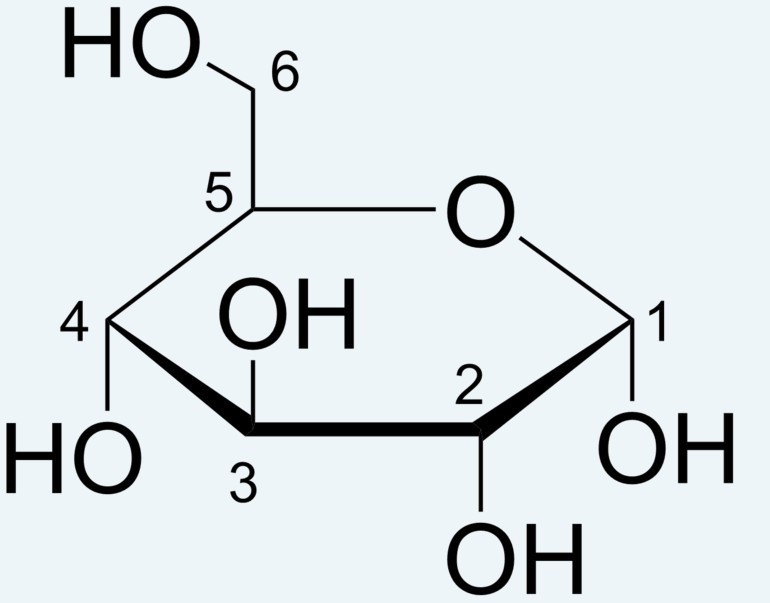 哈沃斯投影式(分子生物学)