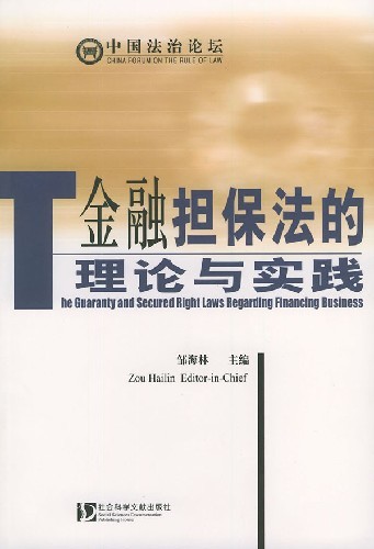 金融担保法的理论与实践