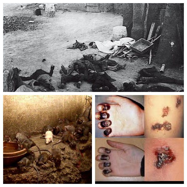 鼠疫 (其他数学相关)