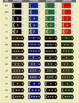 中國軍隊軍銜制度 (軍事機構)