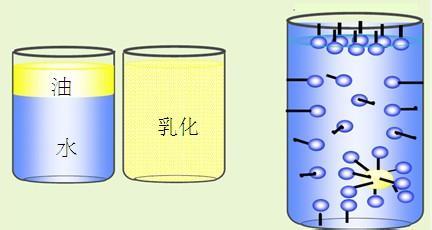 乳化作用(其他生物相关)乳化作用:乳化作用是将一种液体分散到第二种