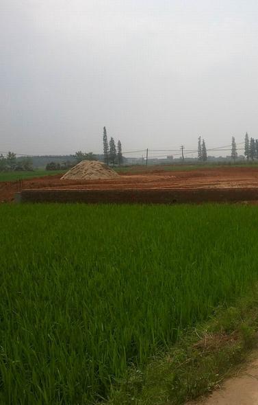 石滩镇(行政区划|地点)石滩镇是江西省丰城市的一个下辖镇,位于宜春市