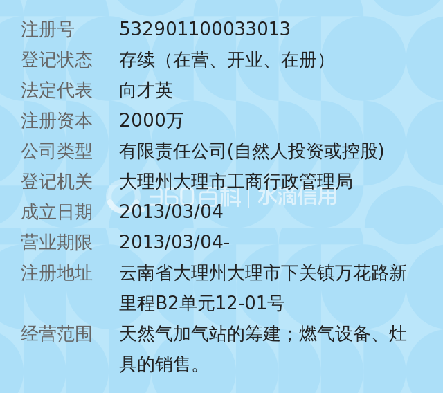 大理汇升能迅燃气投资有限公司