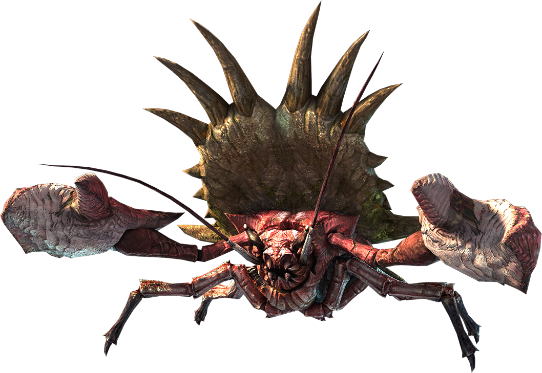 盾蟹其他游戏相关