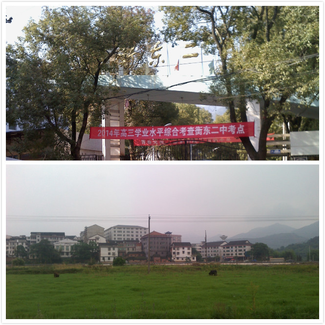 杨林镇(行政区划)杨林镇地处衡东县城东南32公里的洣水两岸.