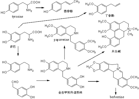 次生代谢产物(其他生物学相关)