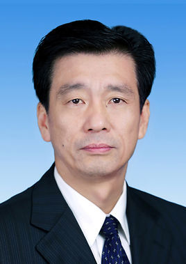 蔡振红(政治人物)