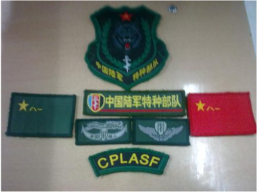 cplasf军事机构