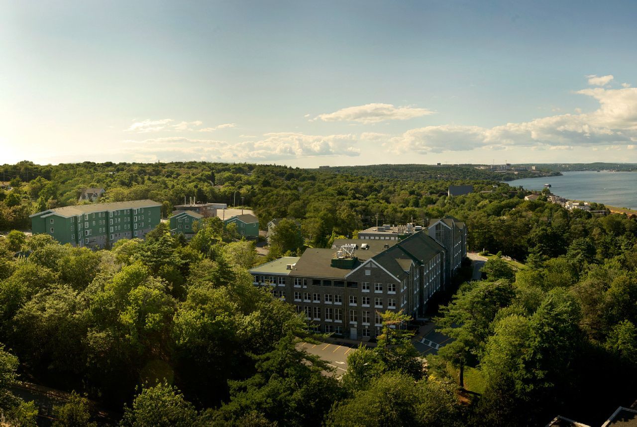 圣文森山大学 (学校)
