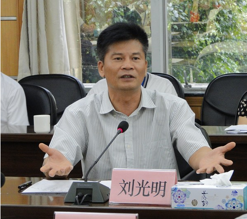 刘光明 (政治人物)