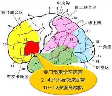 布罗卡斯区(行政区划)