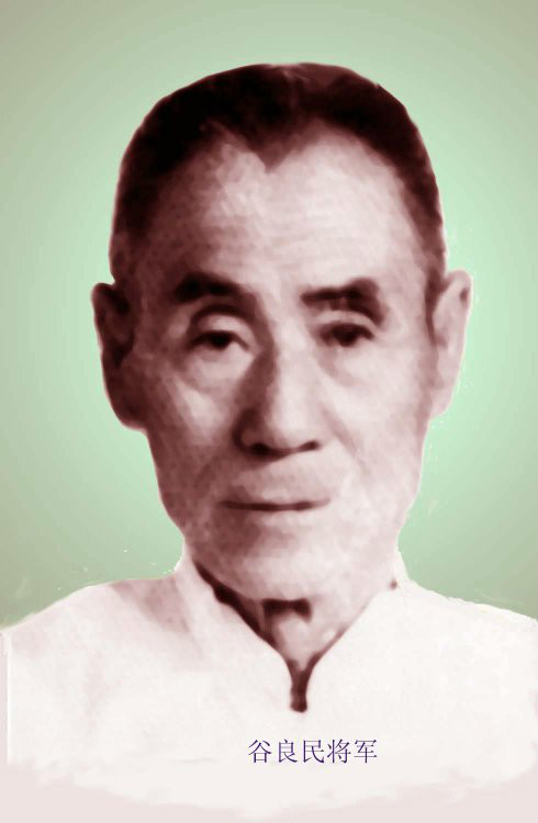 谷良民 (其他人物相关)