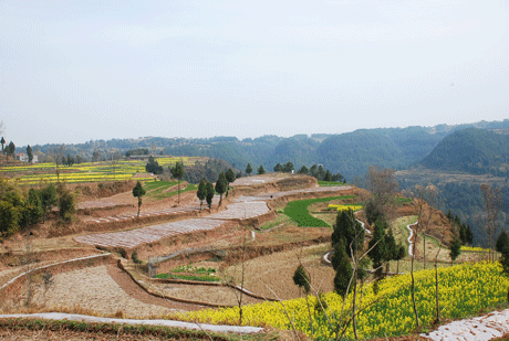 平昌縣元山鎮(其他)