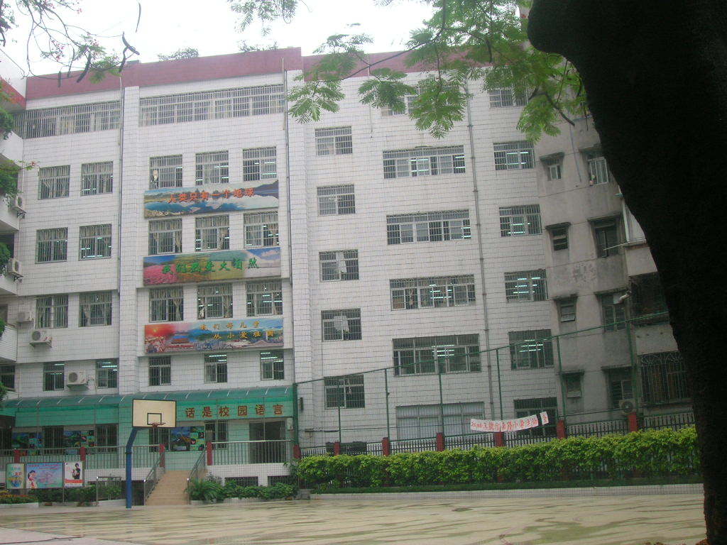 执信南路小学 (学校)