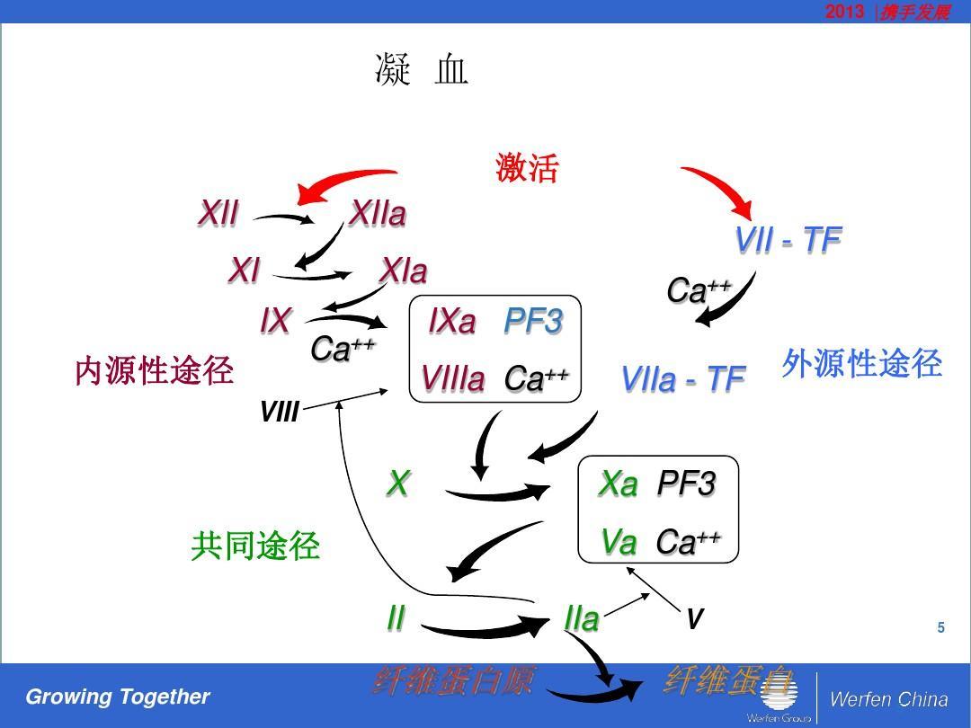 血凝四项 (疾病)