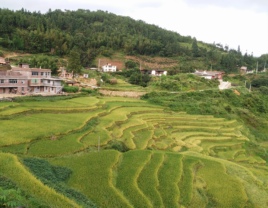 下坑村 (行政区划)