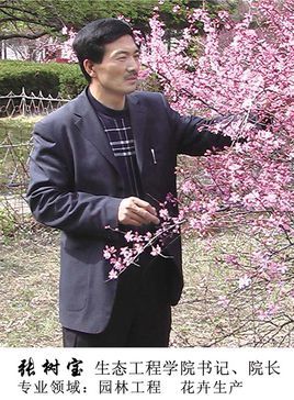 张树宝 (社会人物)