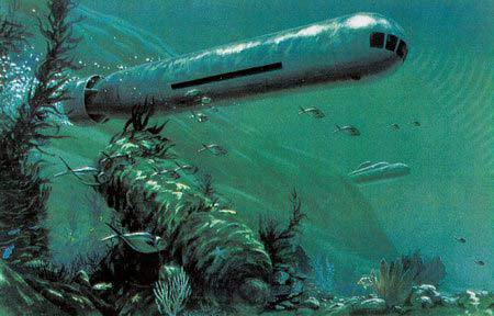 无人水下航行器(非生物)