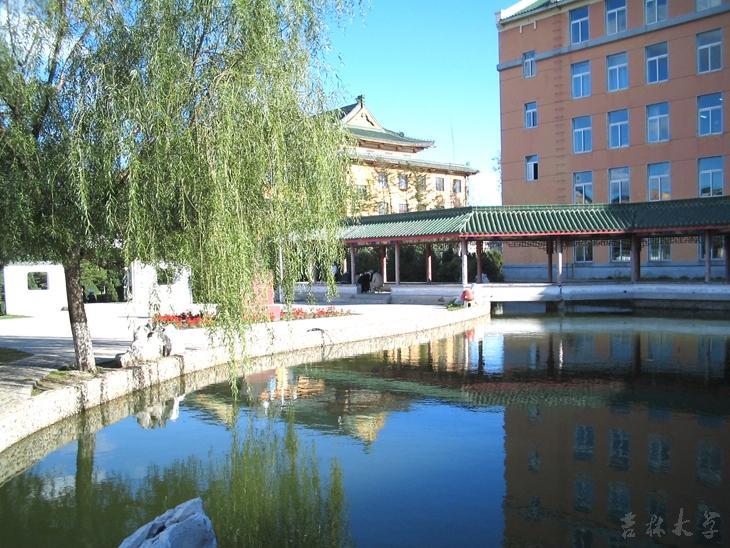 长春科技大学(学校)