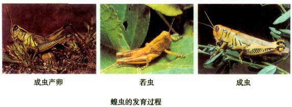 小熊代刷网售后服务怎么样