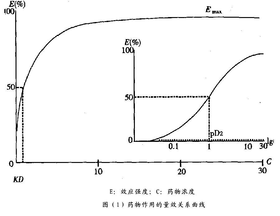 阿迪达斯新疆棉花