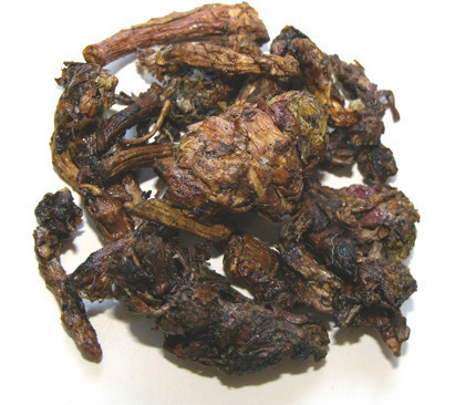 炙冬花(中医学与中药学)