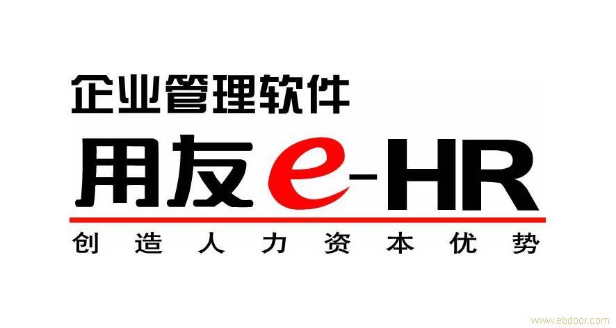 广西用友 (公司)