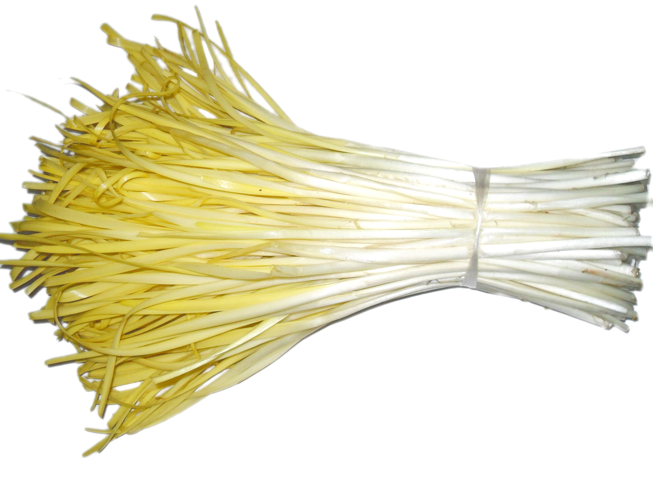 韭黄 (其他美食相关)