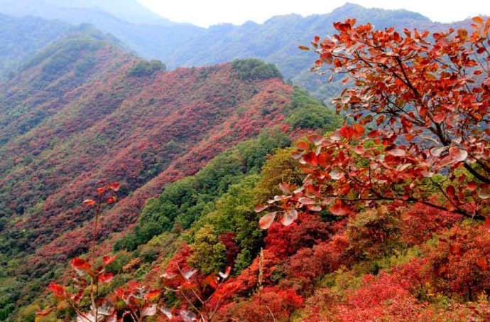 甘山(景点)甘山国家森林公园位于三门峡市区南20公里处,总规划面积78
