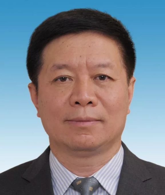 张光奇(政治人物)