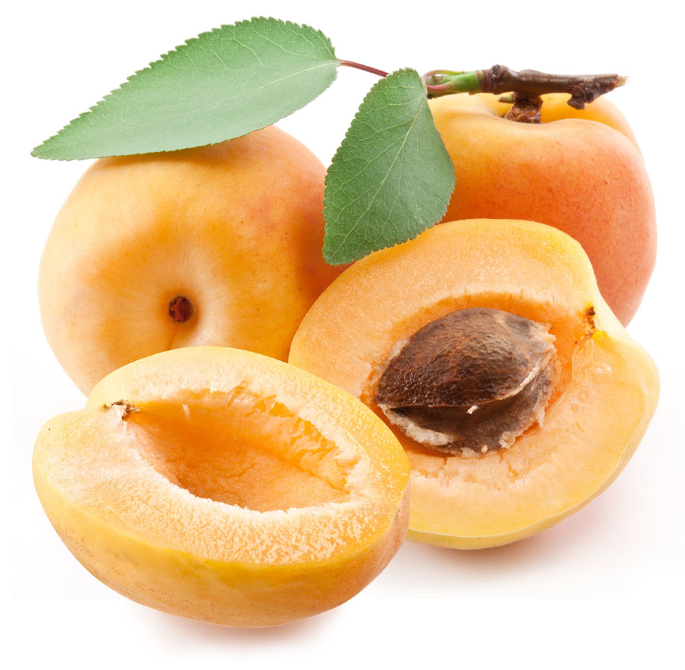 杏桃 桃和杏 种桃杏 种桃杏白居易