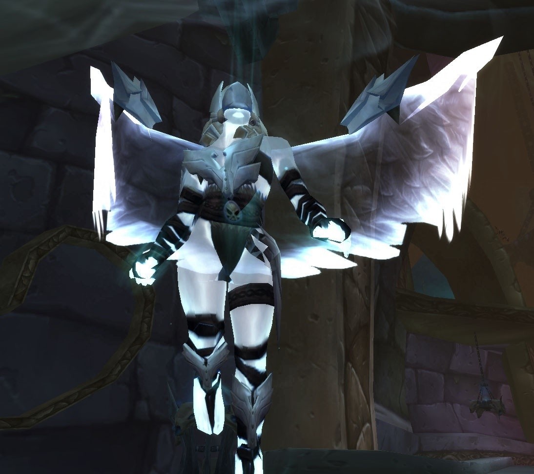 "华尔琪(台译)",女性维库人经由仪式转化而成,游戏中最早作为巫妖王的