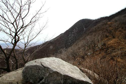 大城山(山脉)大城山 位于距辽宁省东港市黑沟镇中心西北2公里的卧龙村