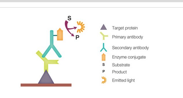 化学发光分析法(仪器仪表)