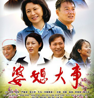 婆媳大事(电视剧)