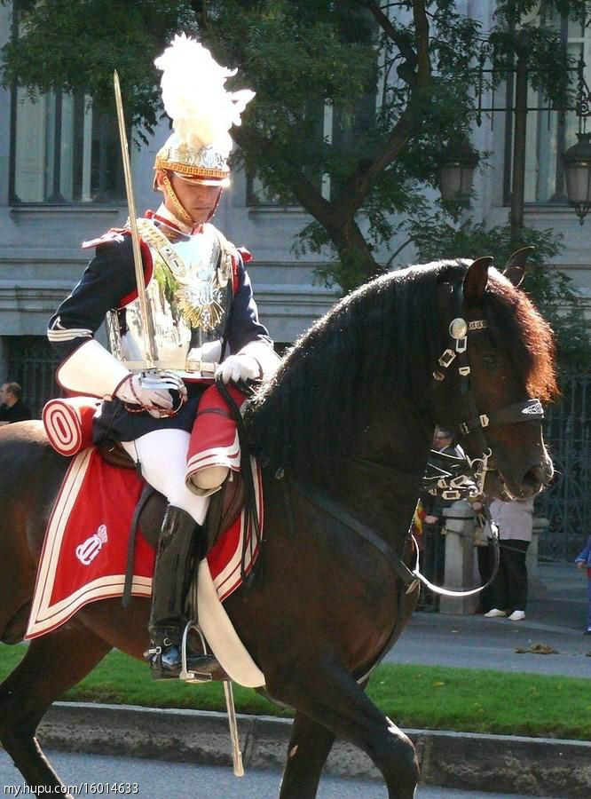 胸甲骑兵 (军事机构)