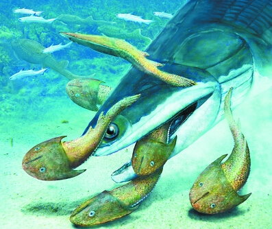 钝齿宏颌鱼(动物)