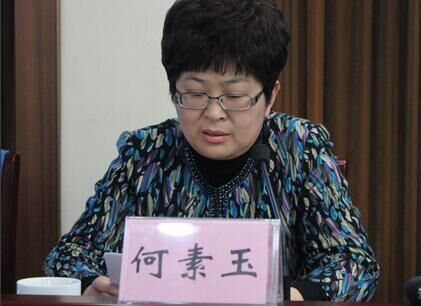 何素玉 (其他人物相关)