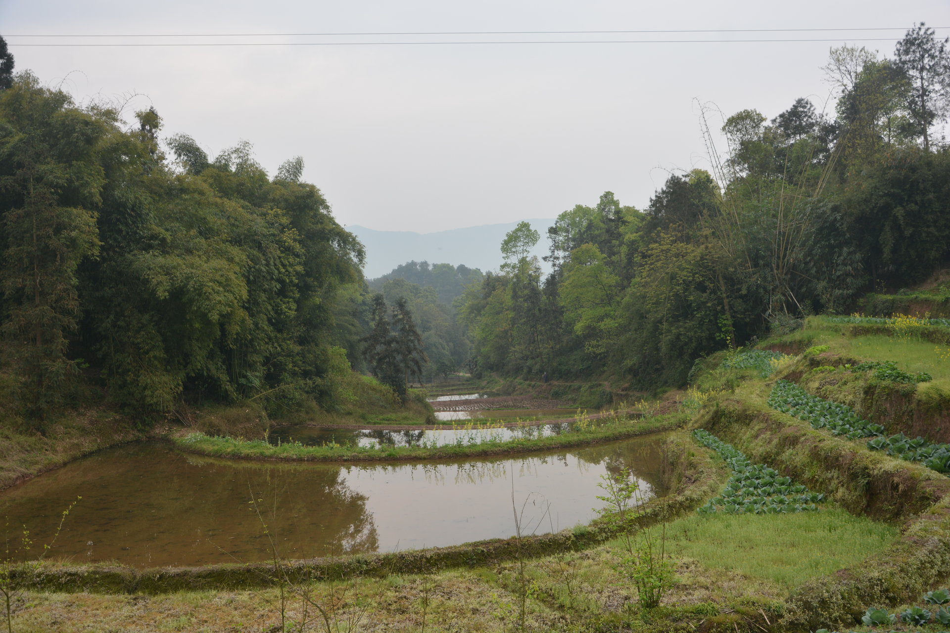 千秋村,隶属于泸州市纳溪区合面镇[1(凤坪村统一行政管辖,下辖个